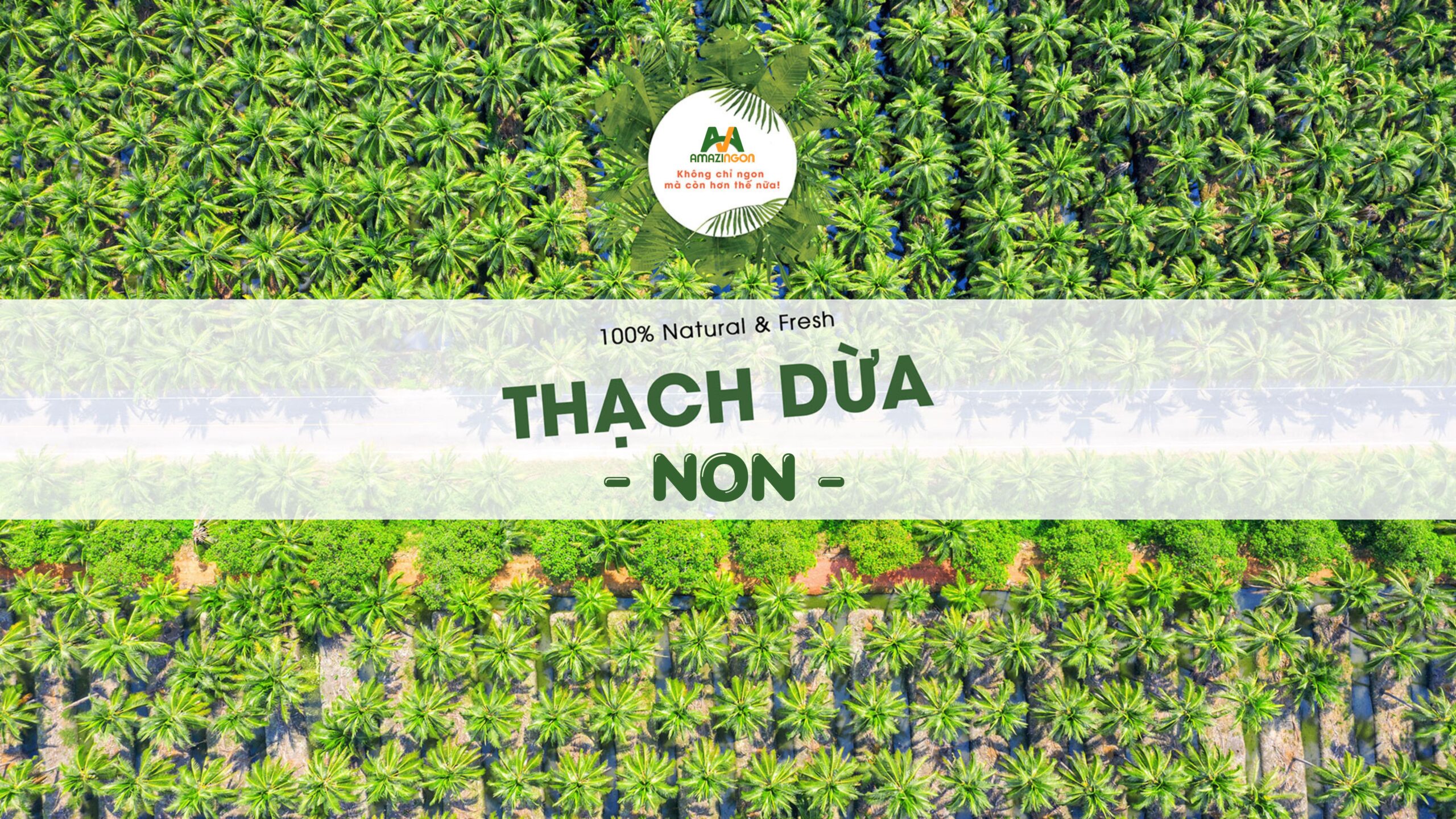 THẠCH DỪA NON AMAZINGON 1KG