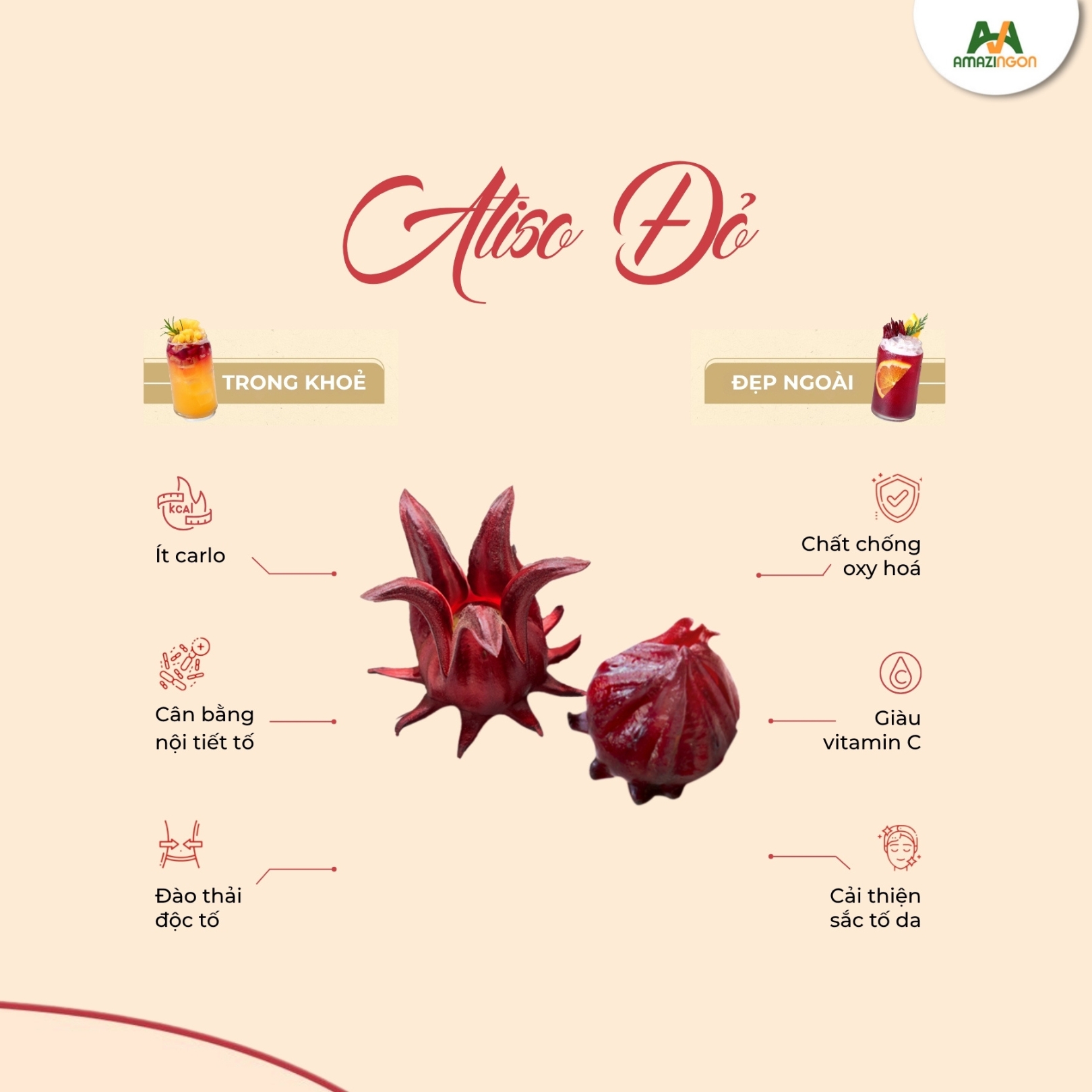 BST Trà Hoa Atiso Đỏ - Sống Healthy Uống Trendy Hè Rực Rỡ