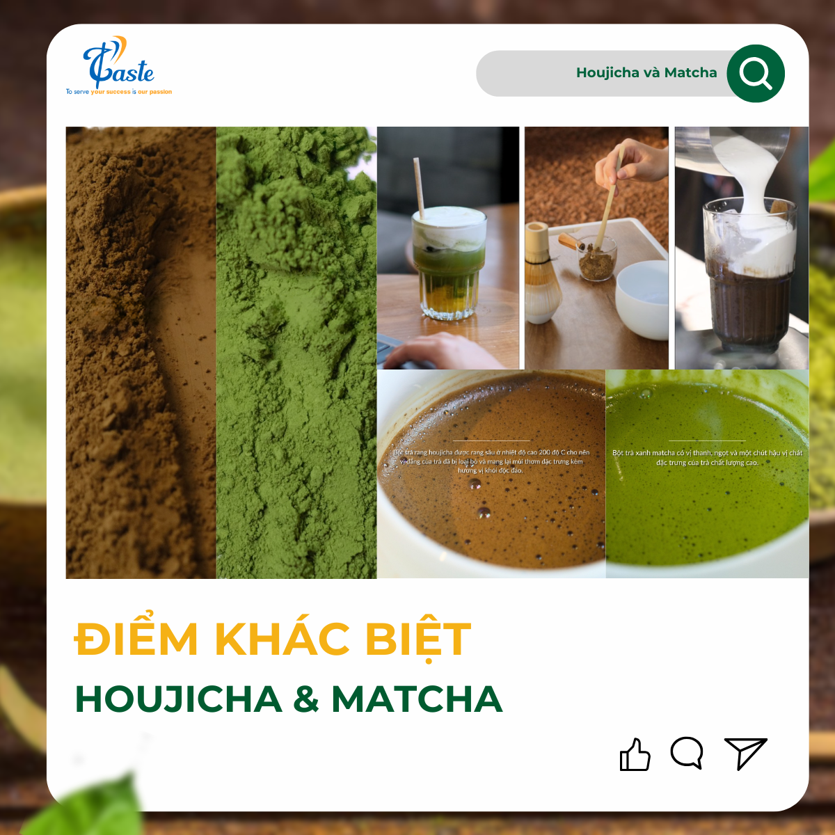 Houjicha và Matcha: Sự Khác Biệt Giữa Hai Dòng Trà Cao Cấp Nhật Bản