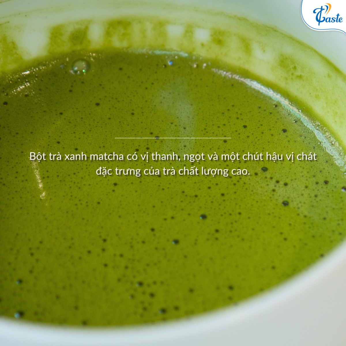 Houjicha và Matcha: Sự Khác Biệt Giữa Hai Dòng Trà Cao Cấp Nhật Bản