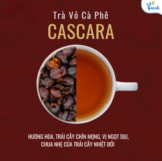 Hướng Dẫn Pha Trà Cascara&nbsp;– Cách Tối Ưu Hương Vị Từ Trà Vỏ Cà Phê