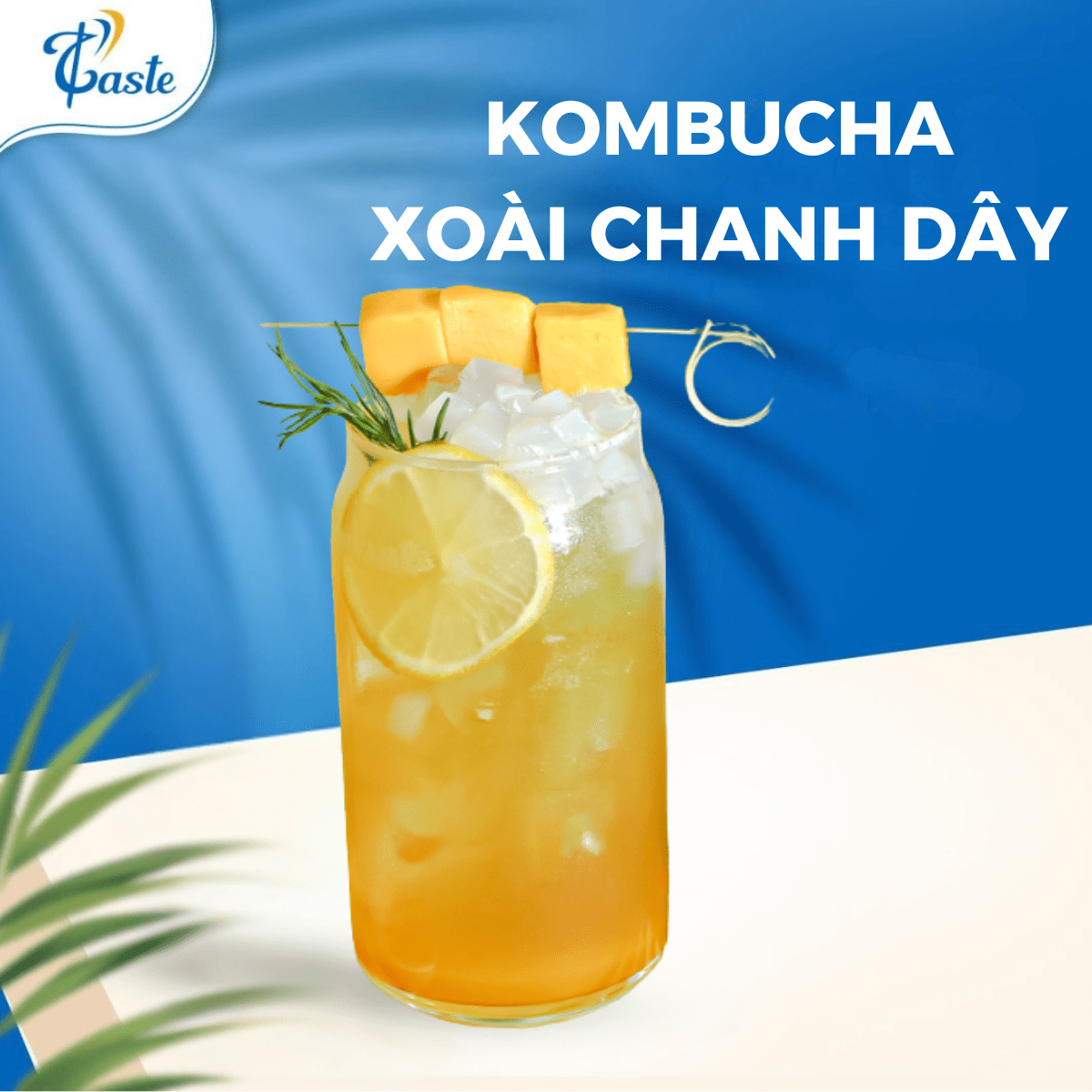 KOMBUCHA XOÀI CHANH DÂY