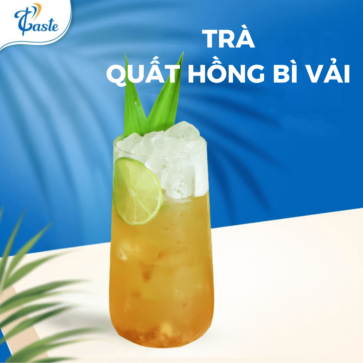 TRÀ QUẤT HỒNG BÌ VẢI