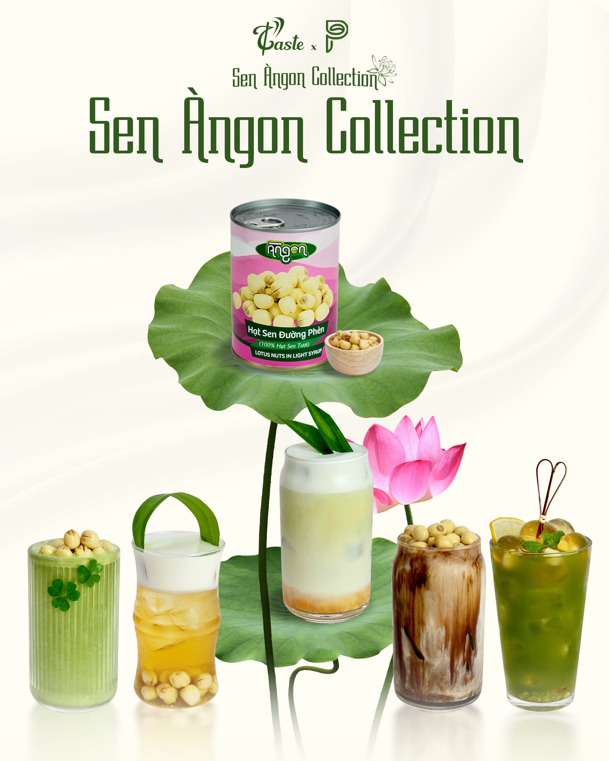Bộ Sưu Tập Hạt Sen - Nông Sản Việt