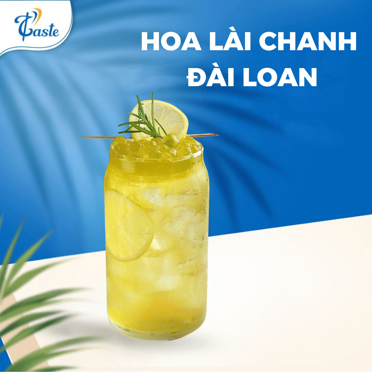 HOA LÀI CHANH ĐÀI LOAN