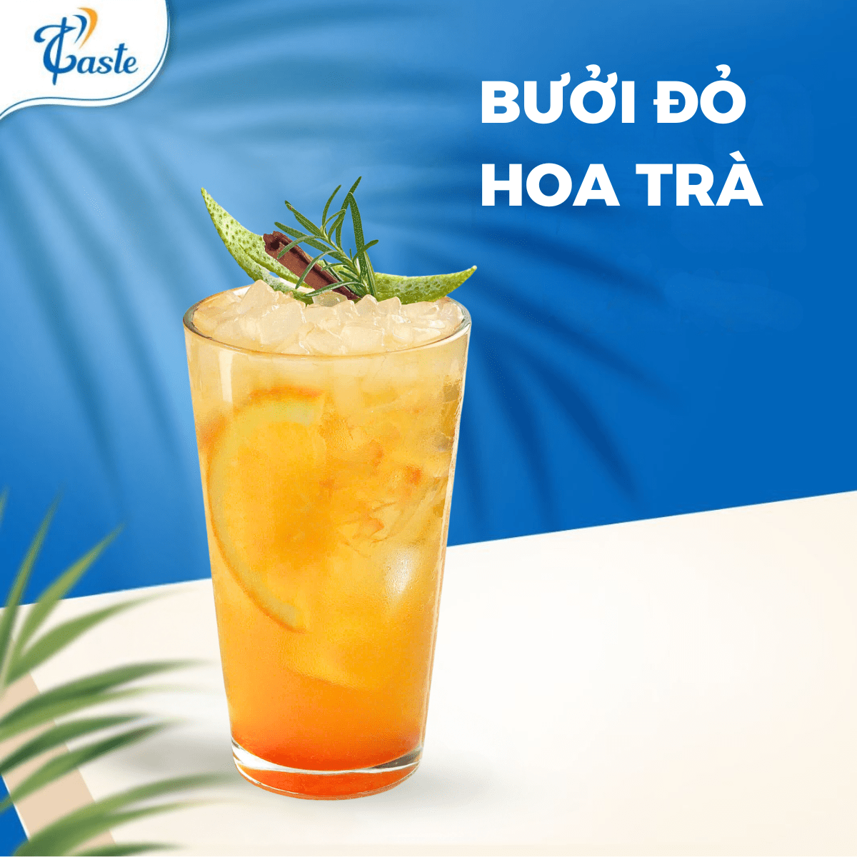 BƯỞI ĐỎ HOA TRÀ