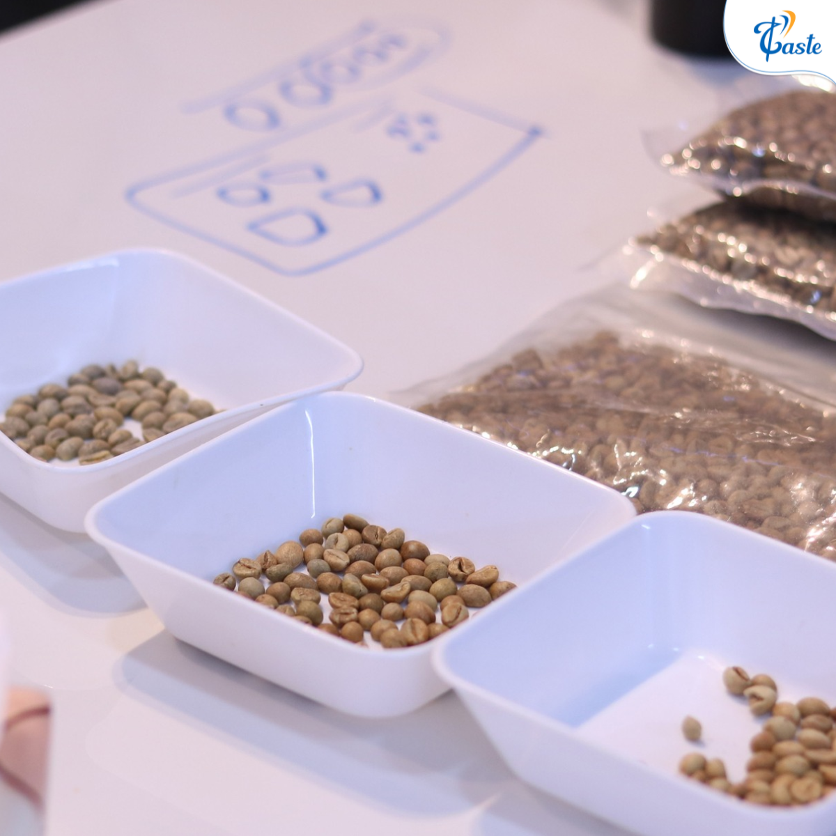 Vị Đắng Cà Phê “Ngon” Đến Từ Đâu?