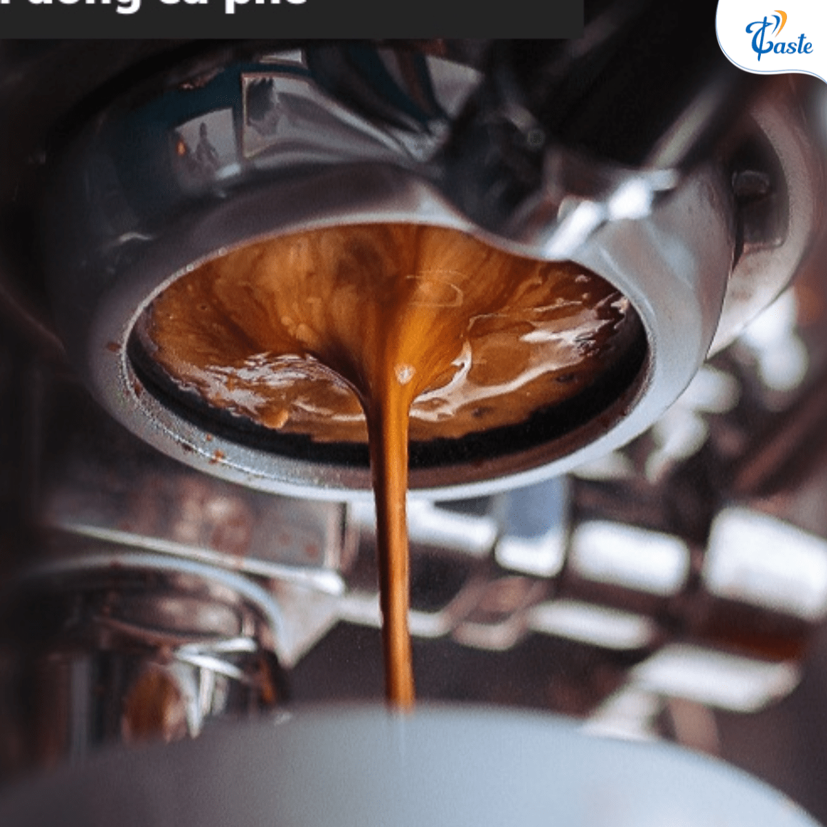Bánh Cà Phê Bị Ướt Khi Pha Máy - Nguyên Nhân & Cách Xử Lý Chuẩn Barista