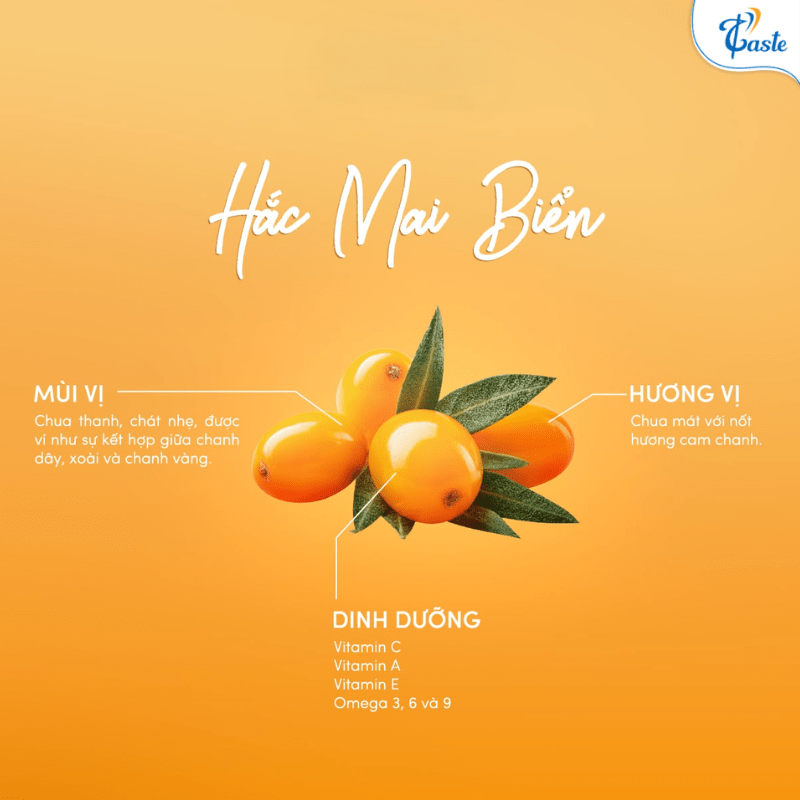 Chunky Hắc Mai Biển - Nguyên Liệu Xu Hướng 2025