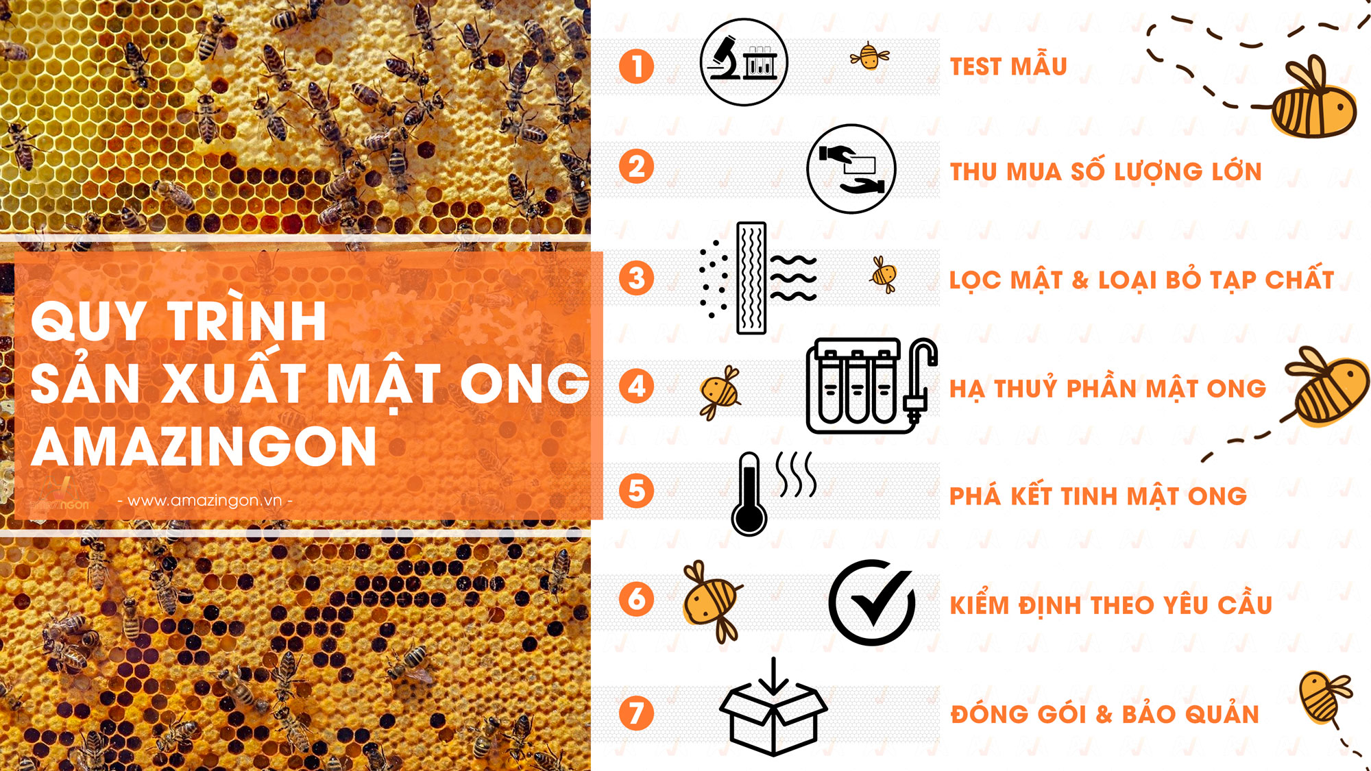 Giá Mật Ong Hoa Cà Phê Bao Nhiêu Trên Thị Trường?