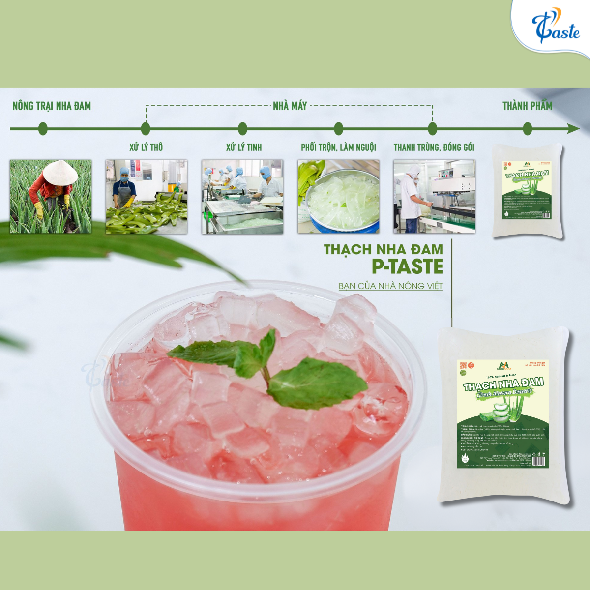 Thạch Nha Đam - Topping Xu Hướng Cho Đồ Uống Khỏe Và Ngon