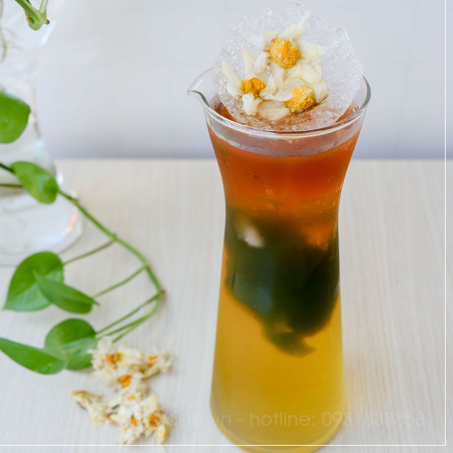 Mua trà hoa cúc ở đâu