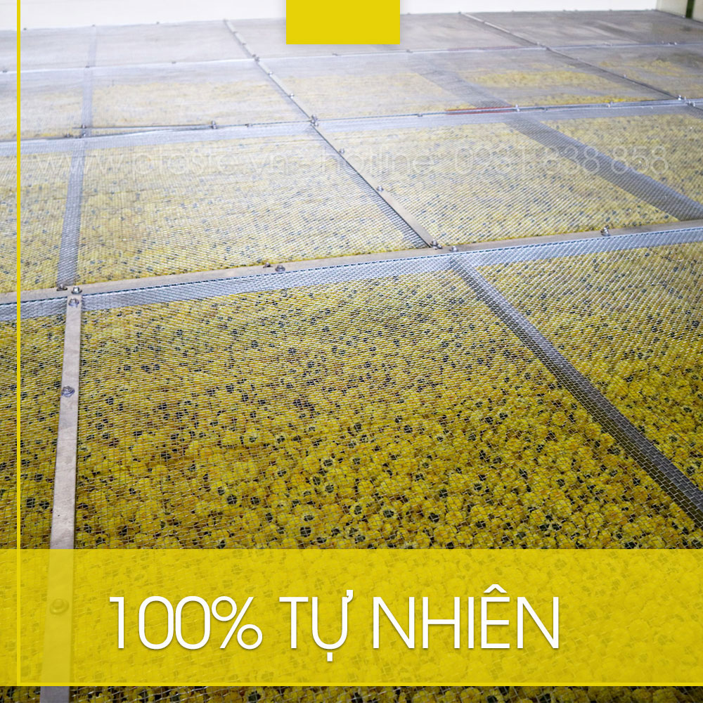 Mua trà hoa cúc ở đâu