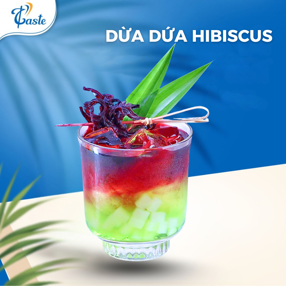 DỪA DỨA HIBISCUS