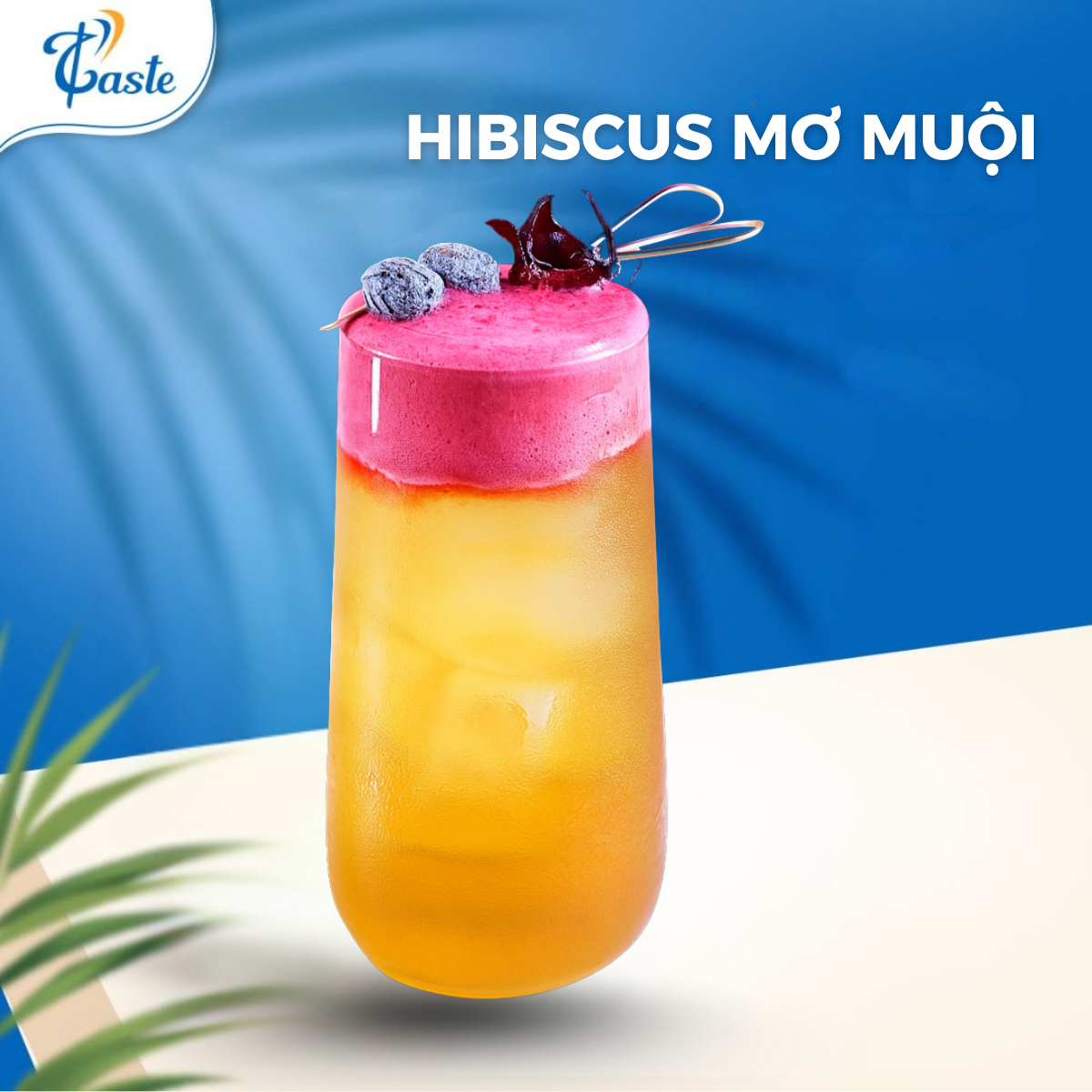 HIBISCUS MƠ MUỘI