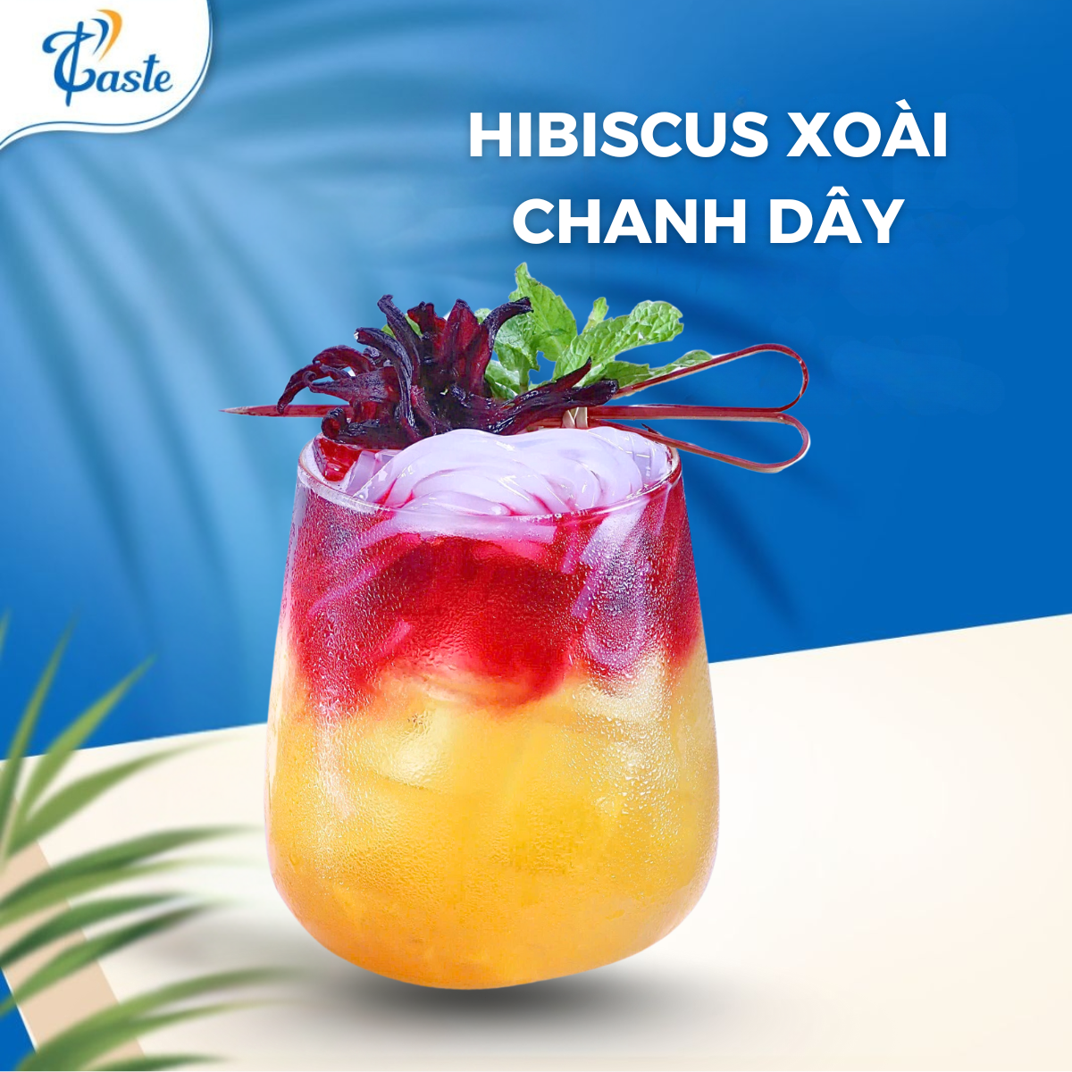 HIBISCUS XOÀI CHANH DÂY