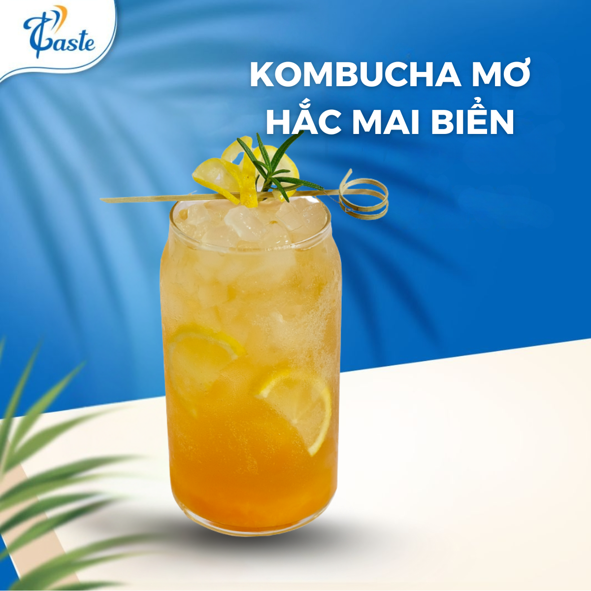 KOMBUCHA MƠ HẮC MAI BIỂN