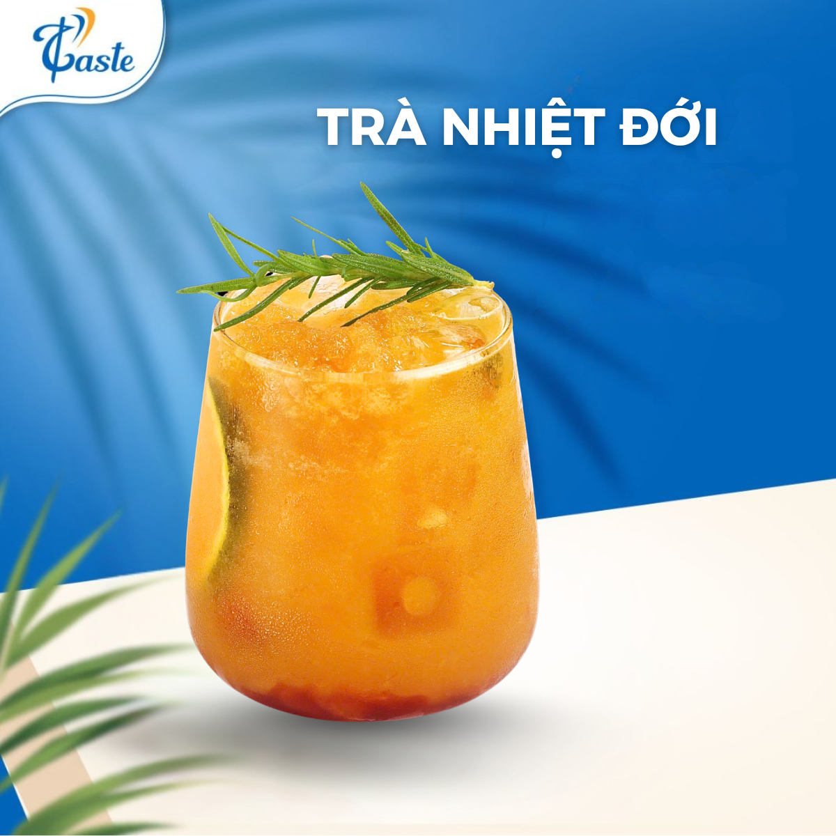 TRÀ NHIỆT ĐỚI