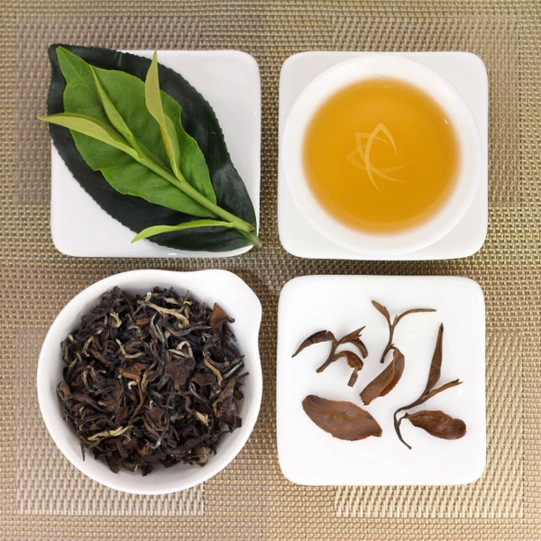 TRÀ ĐÔNG PHƯƠNG MỸ NHÂN LÀ GÌ?