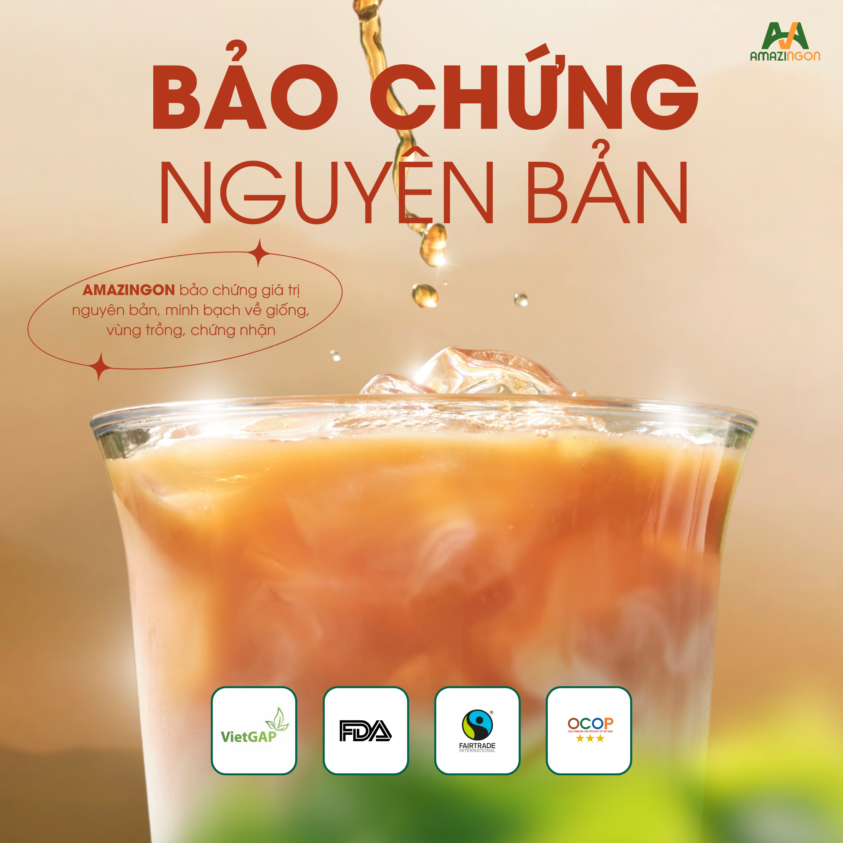 Trà đặc sản Bạch Trà Mẫu Đơn AMAZINGON